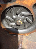 New Holland Water Pump & Pulley OEM: 87800109, FAPN8A513EE.