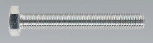 Metric HT Set Stainless Steel Screws Din933 M10 x 100mm