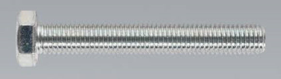 Metric HT Set Stainless Steel Screws Din933 M10 x 100mm